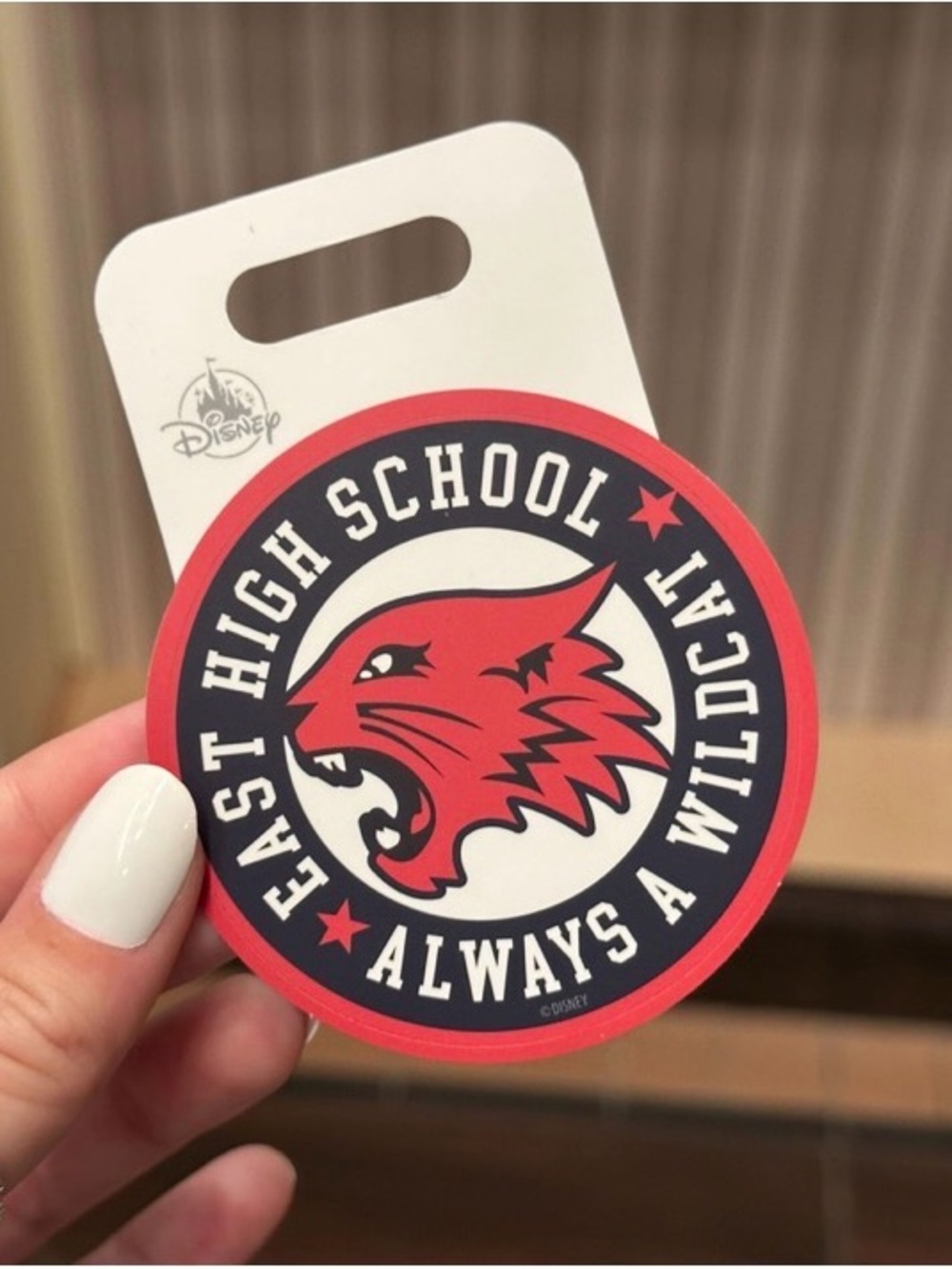 Disney Parks Exclusive High School Musical East High Wildcats Vinyl Sticker